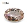Amazing 1.5 Ct GIA Certified Natural Topaz