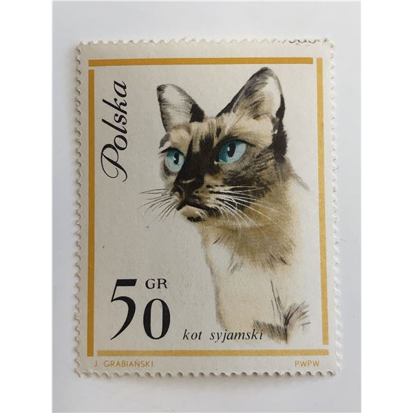 1964 Cat Stamp - Poland