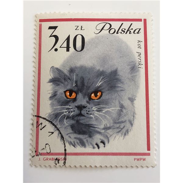 1964 Cat Stamp - Poland