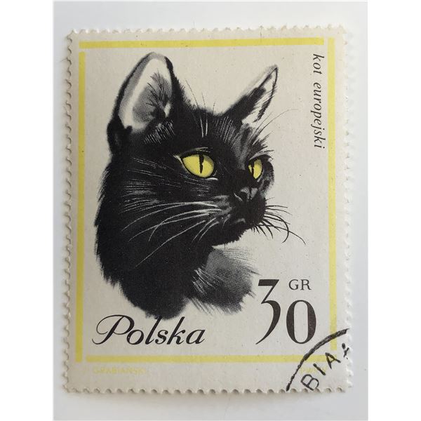 1964 Cat Stamp - Poland