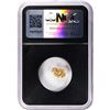 Image 2 : 1.06 Gram Sanoyta Mexico Gold Nugget NGC Vaultbox Unvaulted