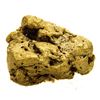 Image 1 : 1.49 Gram Sinaloa, Mexico Gold Nugget