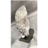 Image 2 : 7" AMETHYST CLUSTER LISTED RETAIL $450.00