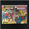 Image 1 : LOT OF 2 MARVEL TALES COMICS (MARVEL COMICS)