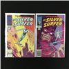 Image 1 : LOT OF 2 SILVER SURFER COMICS (MARVEL COMICS)