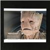 Image 1 : VIN DIESEL SIGNED 'GROOT' 8X10 PHOTO WORLD AUTOS COA