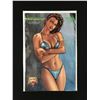Image 1 : AVENGELYNE SWIMSUIT EDITION #1 (MAXIMUM COMICS)