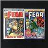 Image 1 : LOT OF 2 FEAR COMICS (MARVEL COMICS)