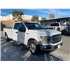 Image 2 : FORD F-150 2019 T-SMOG -2 DAYS