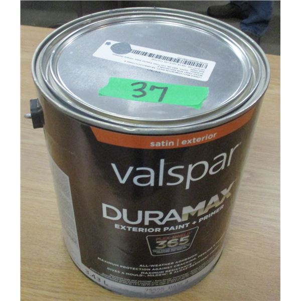 1 GALLON SATIN FINISH PAINT