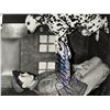 Image 1 : Leave it to Beaver Jerry Mathers signed photo