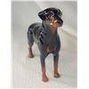 Image 3 : Doberman Pircelain Dog A