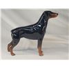 Image 4 : Doberman Pircelain Dog A