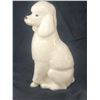 Image 3 : Porcelain Poodle USA A