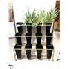 Image 1 : SUPPORT MOBILE POUR 12 POTS DE FLEURS 40"x24"x36"