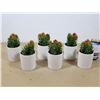 Image 1 : LOT DE 6 POTS DE FLEURS ARTIFICIELLES