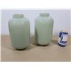 Image 1 : LOT DE 2 VASES