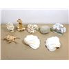 Image 1 : LOT DE 8 ARTICLES DE COQUILLAGES DÉCORATIVE