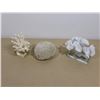 Image 2 : LOT DE 8 ARTICLES DE COQUILLAGES DÉCORATIVE