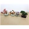 Image 1 : LOT DE 4 PLANTES DÉCORATIVE