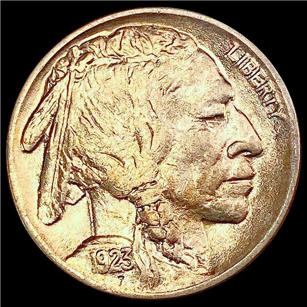 1923 Buffalo Nickel CLOSELY UNCIRCULATED