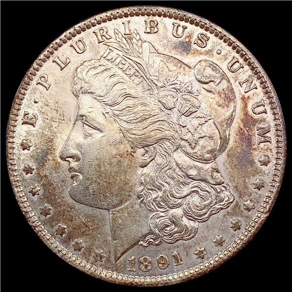 1891 Morgan Silver Dollar CHOICE AU