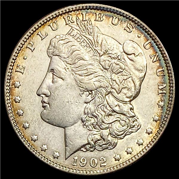 1902 Morgan Silver Dollar CHOICE AU