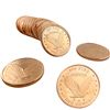 Image 3 : [40] Copper Rounds