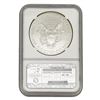 Image 5 : [5]2003-2021 Silver Eagle NGC MS/PF70