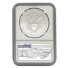 Image 7 : [5]2003-2021 Silver Eagle NGC MS/PF70