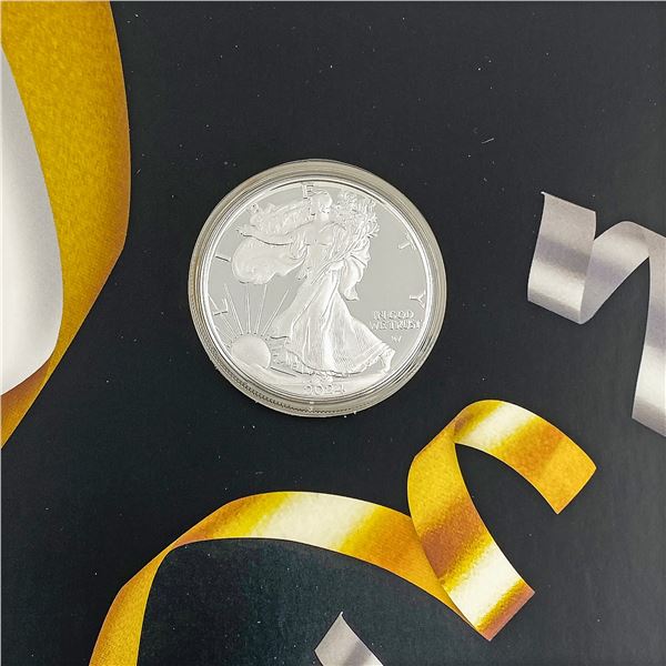 2024-W Proof US 1oz Silver Eagle in OGP CLOSELY UNCIRCULATED+
