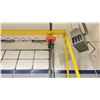 Image 2 : 16' HIGH X 17' INSIDE WIDTH 1 TON HOIST ELECTRIC WITH WIRED REMOTE