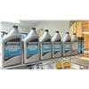 Image 2 : SHELF LOT OF MARINE FLUIDS. HYDRAULIC FLUID, POWER STEERING, SPRAY PAINT. 14 ITEMS