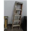 Image 1 : Louiseville 5' FG Stepladder