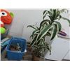 Image 1 : Silk Potted Tree, Tub w/Trophies and Home Goods