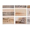 Image 12 : Collection of Vintage Cowboy & Western Post Cards