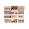 Image 16 : Collection of Vintage Cowboy & Western Post Cards