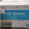 Image 2 : BOX OF NEW TRANSPARENT DISPOSABLE GLOVES SIZE X-LARGE