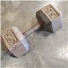 Image 2 : 55LB STEEL DUMBELL