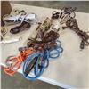 Image 2 : BOX OF 12 EXTENTION CORDS