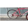 Image 2 : RED DIAMONDBACK BIKE