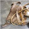 Image 2 : DEER PELT BAG, AND 2 HORNS
