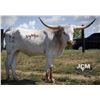 Image 1 : SCRATCH: JCM WHITE GOLD