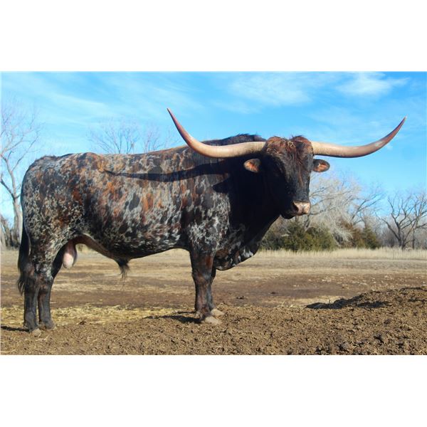 Justa Diamond Jubilee