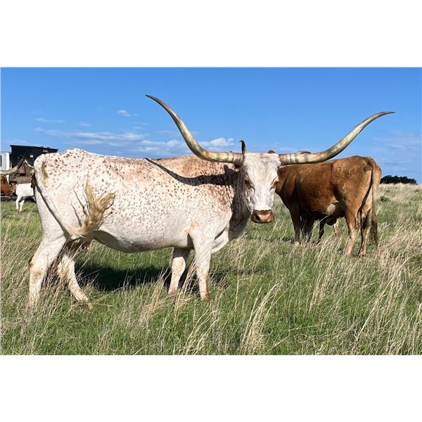 BELIEVE IN MIRACLES 41/5