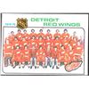 Image 1 : 1975-76 O-PEE-CHEE DETROIT RED WINGS