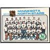 Image 1 : 1975-76 O-PEE-CHEE MINNESOTA NORTH STARS