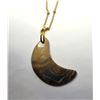 Image 1 : 33)  NATURAL PICASSO JASPER 1/2 MOON PENDANT