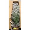 4' PRE-LIT GREENFIELD PINE TREE
