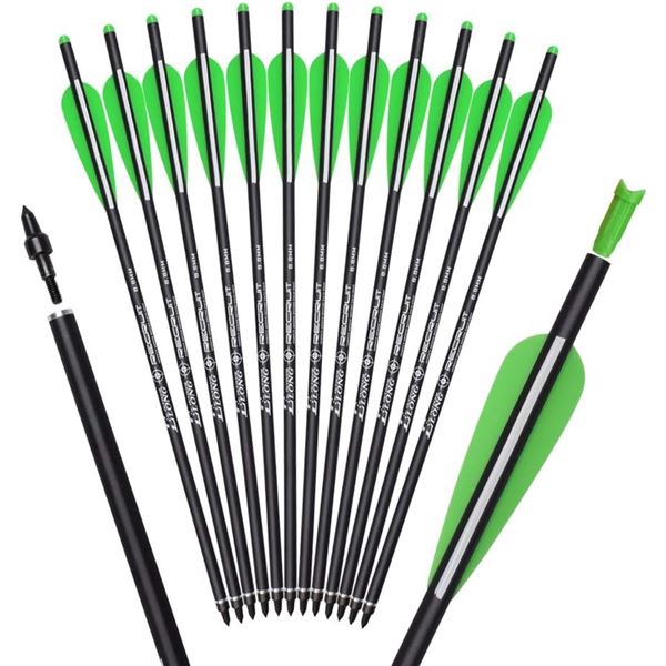 NEW SET OF 12 ELONG OUTDOOR RECRUIT 8.8MM ARROWS